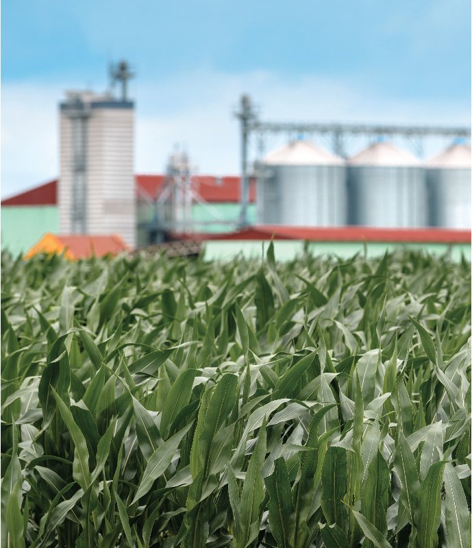 Auxano%20farm